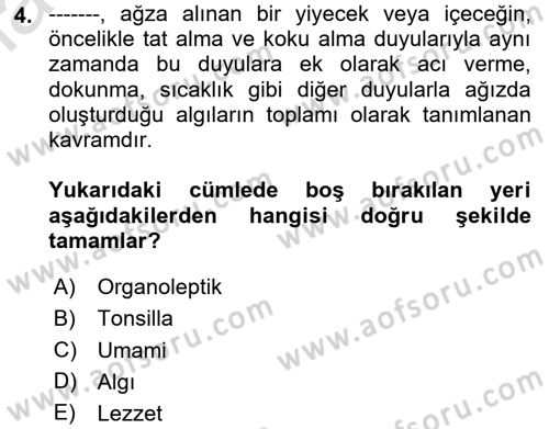 Gastronominin Temelleri Dersi 2020 - 2021 Yılı Yaz Okulu Sınav Soruları 4. Soru