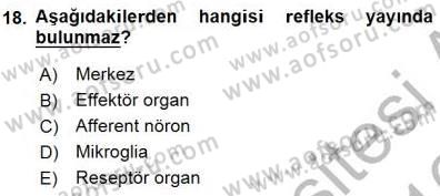 İnsan Anatomisi Ve Fizyolojisi Dersi 2015 - 2016 Yılı (Final) Dönem Sonu Sınav Soruları 18. Soru