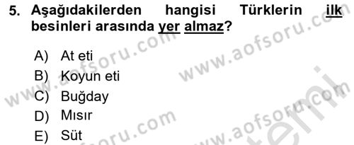 Türk Mutfak Kültürü Dersi 2024 - 2025 Yılı (Vize) Ara Sınav Soruları 5. Soru