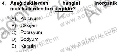 İnsan Anatomisi Ve Fizyolojisi Dersi 2015 - 2016 Yılı (Vize) Ara Sınav Soruları 4. Soru