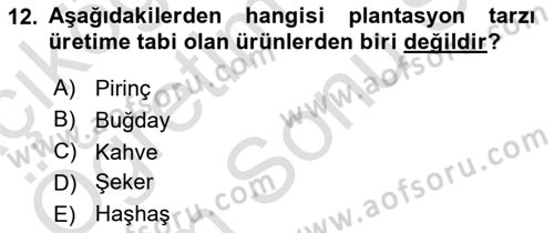 Yemek Sosyolojisi Dersi 2023 - 2024 Yılı (Final) Dönem Sonu Sınav Soruları 12. Soru