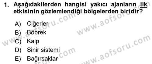 Kbrn Savunma Ve Güvenlik Dersi 2021 - 2022 Yılı Yaz Okulu Sınav Soruları 1. Soru