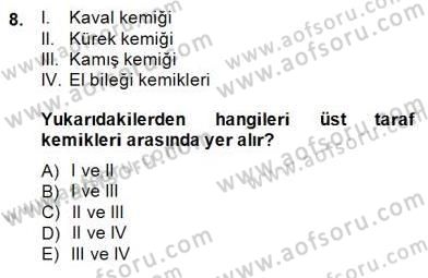 İnsan Anatomisi Ve Fizyolojisi Dersi 2014 - 2015 Yılı (Vize) Ara Sınav Soruları 8. Soru