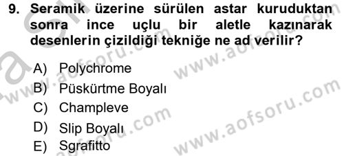 Ortaçağdan Günümüze Anadolu Uygarlıkları Dersi 2016 - 2017 Yılı (Vize) Ara Sınav Soruları 9. Soru