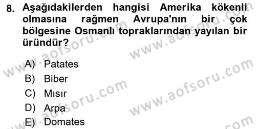 Türk Mutfak Kültürü Dersi 2023 - 2024 Yılı (Final) Dönem Sonu Sınav Soruları 8. Soru