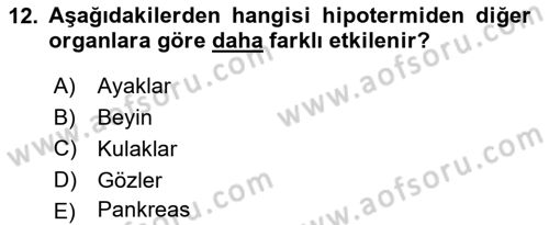 Arama Kurtarma Bilgisi ve Etik Değerler Dersi 2023 - 2024 Yılı (Final) Dönem Sonu Sınav Soruları 12. Soru