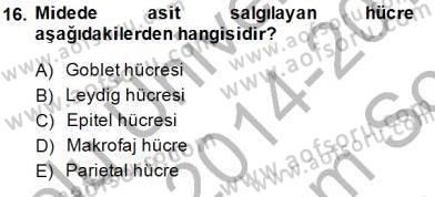 İnsan Anatomisi Ve Fizyolojisi Dersi 2014 - 2015 Yılı (Final) Dönem Sonu Sınav Soruları 16. Soru
