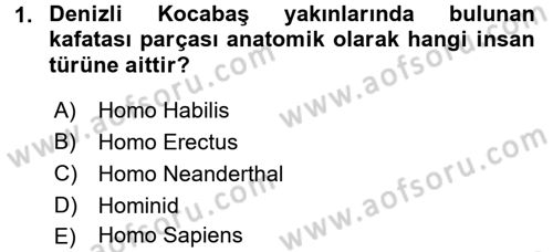 Anadolu Arkeolojisi Dersi 2016 - 2017 Yılı (Vize) Ara Sınav Soruları 1. Soru