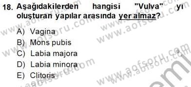 İnsan Anatomisi Ve Fizyolojisi Dersi 2014 - 2015 Yılı (Final) Dönem Sonu Sınav Soruları 18. Soru