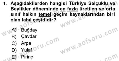 Türk Mutfak Kültürü Dersi 2023 - 2024 Yılı Yaz Okulu Sınav Soruları 1. Soru