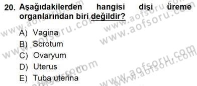 İnsan Anatomisi Ve Fizyolojisi Dersi 2012 - 2013 Yılı (Final) Dönem Sonu Sınav Soruları 20. Soru