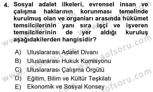 İnsan Hakları Ve Kamu Özgürlükleri Dersi 2019 - 2020 Yılı (Final) Dönem Sonu Sınav Soruları 4. Soru