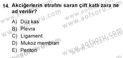 İnsan Anatomisi Ve Fizyolojisi Dersi 2014 - 2015 Yılı (Final) Dönem Sonu Sınav Soruları 14. Soru