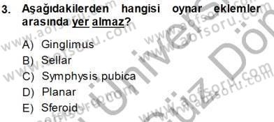 İnsan Anatomisi Ve Fizyolojisi Dersi 2013 - 2014 Yılı (Final) Dönem Sonu Sınav Soruları 3. Soru