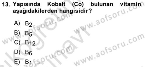 Beslenmenin Temel İlkeleri Dersi 2018 - 2019 Yılı 3 Ders Sınav Soruları 13. Soru