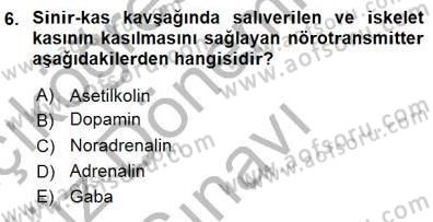 İnsan Anatomisi Ve Fizyolojisi Dersi 2015 - 2016 Yılı (Final) Dönem Sonu Sınav Soruları 6. Soru