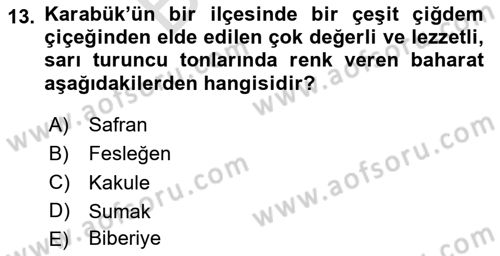 Yöresel Mutfaklar Dersi 2024 - 2025 Yılı (Final) Dönem Sonu Sınav Soruları 13. Soru