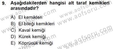 İnsan Anatomisi Ve Fizyolojisi Dersi 2012 - 2013 Yılı (Vize) Ara Sınav Soruları 9. Soru