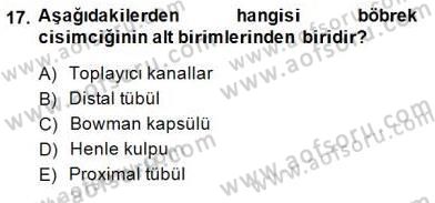 İnsan Anatomisi Ve Fizyolojisi Dersi 2014 - 2015 Yılı (Final) Dönem Sonu Sınav Soruları 17. Soru