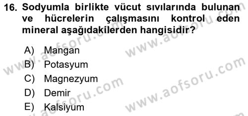 Beslenmenin Temel İlkeleri Dersi 2018 - 2019 Yılı Yaz Okulu Sınav Soruları 16. Soru