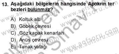 İnsan Anatomisi Ve Fizyolojisi Dersi 2013 - 2014 Yılı (Vize) Ara Sınav Soruları 13. Soru