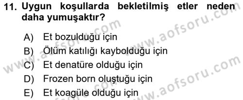 Beslenmenin Temel İlkeleri Dersi 2016 - 2017 Yılı (Final) Dönem Sonu Sınav Soruları 11. Soru