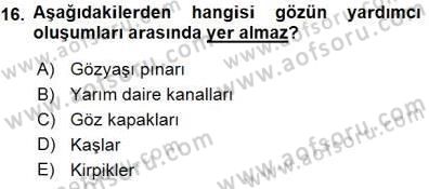 İnsan Anatomisi Ve Fizyolojisi Dersi 2015 - 2016 Yılı (Final) Dönem Sonu Sınav Soruları 16. Soru