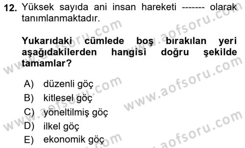 Göç Ve Göçmen Sorunları Dersi 2024 - 2025 Yılı (Vize) Ara Sınav Soruları 12. Soru