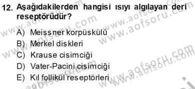 İnsan Anatomisi Ve Fizyolojisi Dersi 2013 - 2014 Yılı (Vize) Ara Sınav Soruları 12. Soru