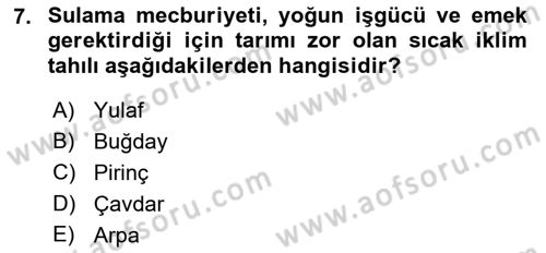 Gıda Coğrafyası Dersi 2019 - 2020 Yılı (Vize) Ara Sınav Soruları 7. Soru