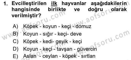 Gastronomi Tarihi Dersi 2016 - 2017 Yılı (Vize) Ara Sınav Soruları 1. Soru