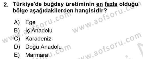 Yöresel Mutfaklar Dersi 2018 - 2019 Yılı 3 Ders Sınav Soruları 2. Soru