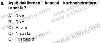 İnsan Anatomisi Ve Fizyolojisi Dersi 2013 - 2014 Yılı (Vize) Ara Sınav Soruları 6. Soru
