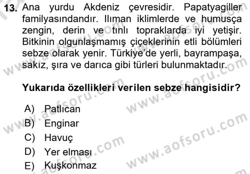 Gıda Coğrafyası Dersi 2021 - 2022 Yılı (Vize) Ara Sınav Soruları 13. Soru