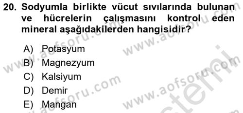 Beslenmenin Temel İlkeleri Dersi 2024 - 2025 Yılı (Vize) Ara Sınav Soruları 20. Soru
