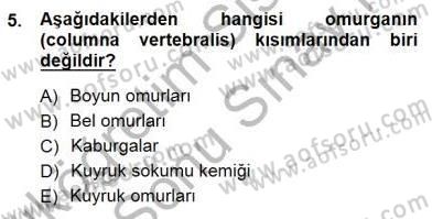 İnsan Anatomisi Ve Fizyolojisi Dersi 2012 - 2013 Yılı (Final) Dönem Sonu Sınav Soruları 5. Soru