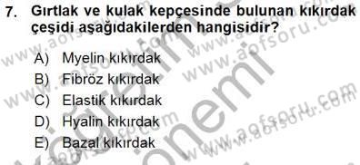 İnsan Anatomisi Ve Fizyolojisi Dersi 2015 - 2016 Yılı (Vize) Ara Sınav Soruları 7. Soru