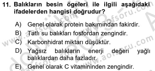 Temel Mutfak Teknikleri Dersi 2023 - 2024 Yılı (Vize) Ara Sınav Soruları 11. Soru