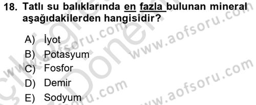 Temel Mutfak Teknikleri Dersi 2016 - 2017 Yılı (Vize) Ara Sınav Soruları 18. Soru