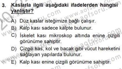 İnsan Anatomisi Ve Fizyolojisi Dersi 2012 - 2013 Yılı (Final) Dönem Sonu Sınav Soruları 3. Soru
