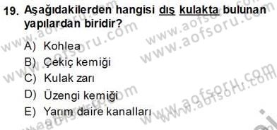 İnsan Anatomisi Ve Fizyolojisi Dersi 2013 - 2014 Yılı (Vize) Ara Sınav Soruları 19. Soru