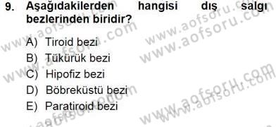 İnsan Anatomisi Ve Fizyolojisi Dersi 2012 - 2013 Yılı (Final) Dönem Sonu Sınav Soruları 9. Soru