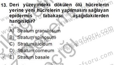 İnsan Anatomisi Ve Fizyolojisi Dersi 2014 - 2015 Yılı (Vize) Ara Sınav Soruları 13. Soru