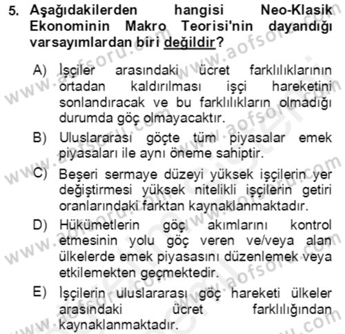 Göç Ve Göçmen Sorunları Dersi 2018 - 2019 Yılı (Vize) Ara Sınav Soruları 5. Soru