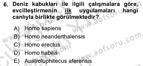 Gastronomi Tarihi Dersi 2021 - 2022 Yılı Yaz Okulu Sınav Soruları 6. Soru