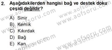 İnsan Anatomisi Ve Fizyolojisi Dersi 2013 - 2014 Yılı (Final) Dönem Sonu Sınav Soruları 2. Soru