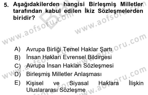 İnsan Hakları Ve Kamu Özgürlükleri Dersi 2023 - 2024 Yılı (Final) Dönem Sonu Sınav Soruları 5. Soru