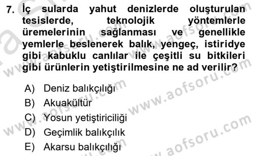 Gıda Coğrafyası Dersi 2021 - 2022 Yılı (Vize) Ara Sınav Soruları 7. Soru