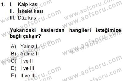 İnsan Anatomisi Ve Fizyolojisi Dersi 2015 - 2016 Yılı (Vize) Ara Sınav Soruları 1. Soru