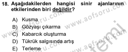 Afet Risk Azaltma Politikaları Dersi 2018 - 2019 Yılı Yaz Okulu Sınav Soruları 18. Soru